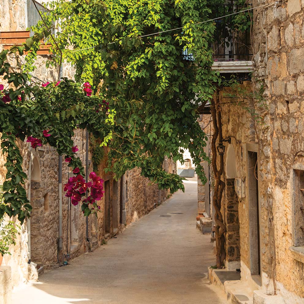 Pearl Island Holistic Experiences